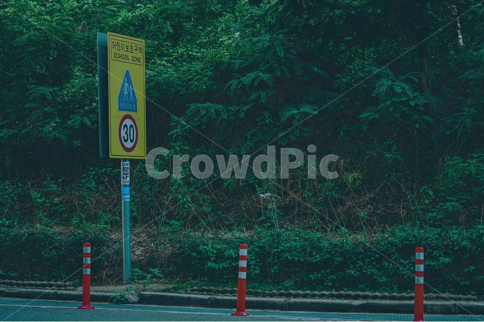 숲,자연,풍경,초록,forest,green,감성,sensible,feeling,교통,교통수단,traffic,transportation