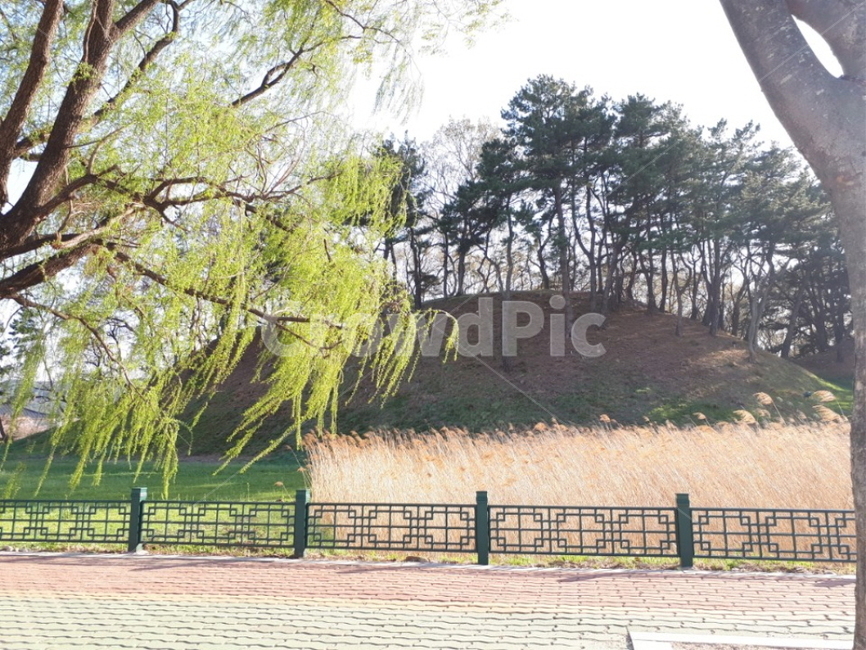 경주,첨성대,배경,풍경,배경화면