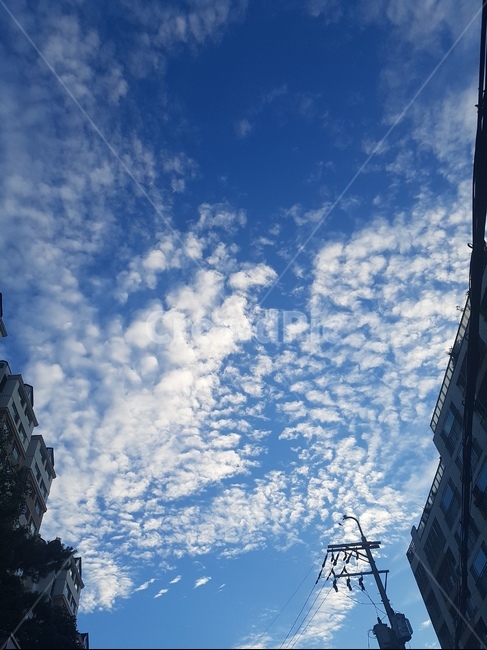 구름,cloud,sky,하늘,맑음,새털구름
