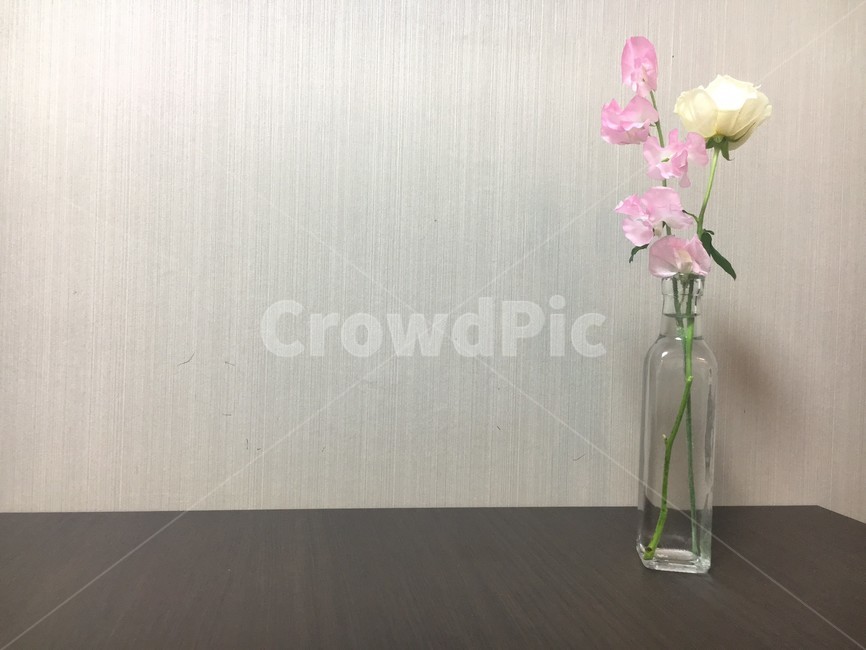 plant,식물,jar,pottery,도기류,vase,병장식,flower,ornament,장식,art,flowerarrangement,꽃꽂이,blossom,꽃,ikebana,이케바나