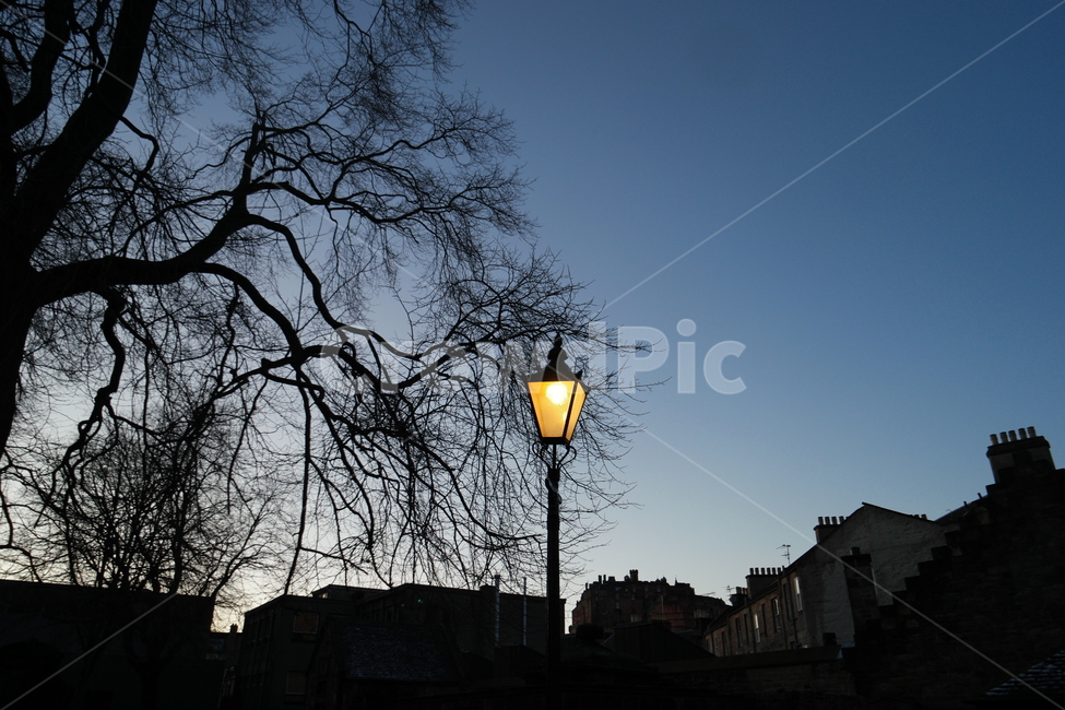 가로등,영국,스코틀랜드,에딘버러,저녁,겨울,winter,scottland,풍경,lamp,배경,이미지,image,나무,하늘,노란조명,불빛,light,쓸쓸함,서늘함,차가움,외로움,야경,night,야경,밤,풍경,nightscape,night,landscape,lamp post,램프 포스트