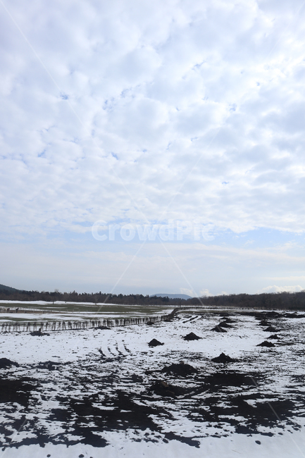 자연풍경,눈,겨울,제주,하늘,구름,자연,snow,winter,양떼구름,감성,밭,jeju,cloud,nature,겨울,계절,winter,season,자연,풍경,nature,landscape,제주도,jeju,jeju island,outdoors,옥외,land,땅
