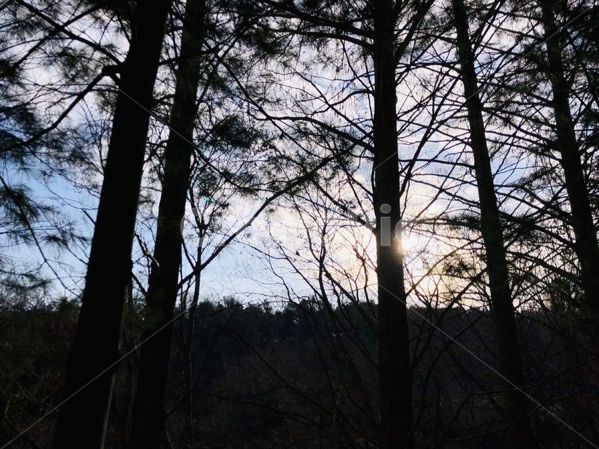 역광,자연,나무,등산,햇빛,자연,풍경,nature,landscape,실루엣,그림자,silhouette,shadow,light,빛,flare,플레어