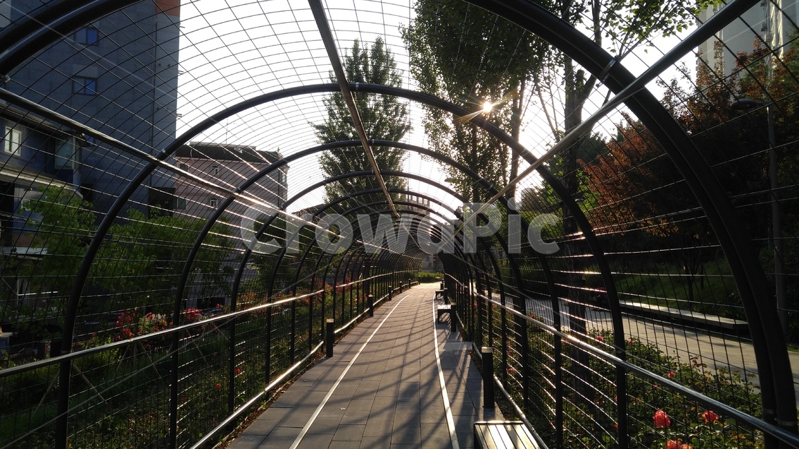 장미터널,터널,산책로,배경,감성,rosetunnel,tunnel,walkingtrails,background,emotional