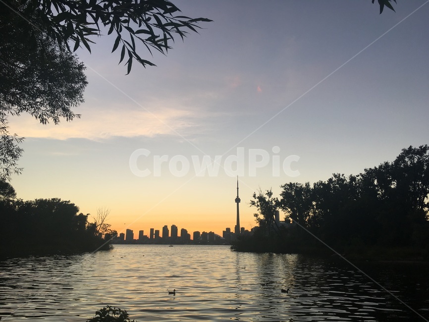 하늘,풍경,토론토아일랜드,토론토,나무,핑크,nature,자연,outdoors,황혼,redsky,붉은하늘,sky,일몰,water,물