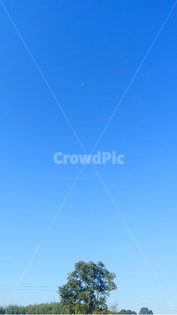 nature,자연,하늘,bluesky,맑음