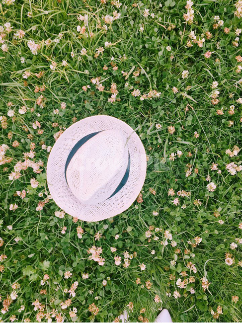 여름,모자,초록색,반지꽃,배경,식물,자연,plants,nature