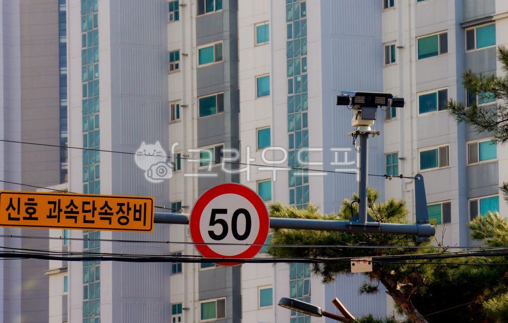 단속카메라,신호,과속,단속장비,신호단속카메라,과속단속카메라