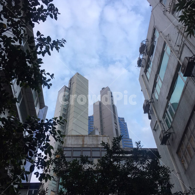 건물사이,건물,빌딩,빌딩숲,풍경,하늘,도시,풍경,city,landscape,building,office building,사무실 건물,high rise,고층 건물,town,urban,어반,시티