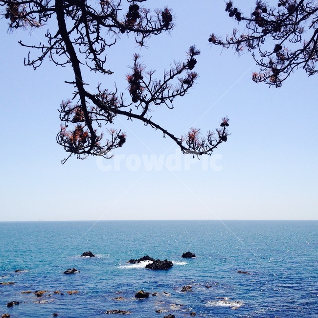 여름,경주풍경,바다,주상절리,summer,ocean,gyeongju