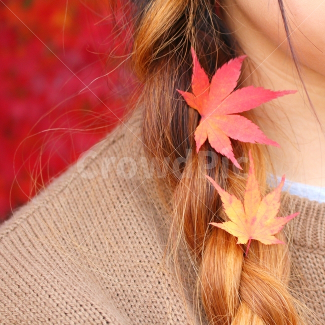 단풍잎,사람,풍경사진,가을,단풍,머리,헤어스타일,헤어,색감,잎,소녀,여자,hair,girl,가을,계절,fall,autumn,season,식물,자연,plants,nature,사람,인물,인간,human,person,여성,여자,woman,female,lady,뷰티,미용,beauty treatment,plant,leaf