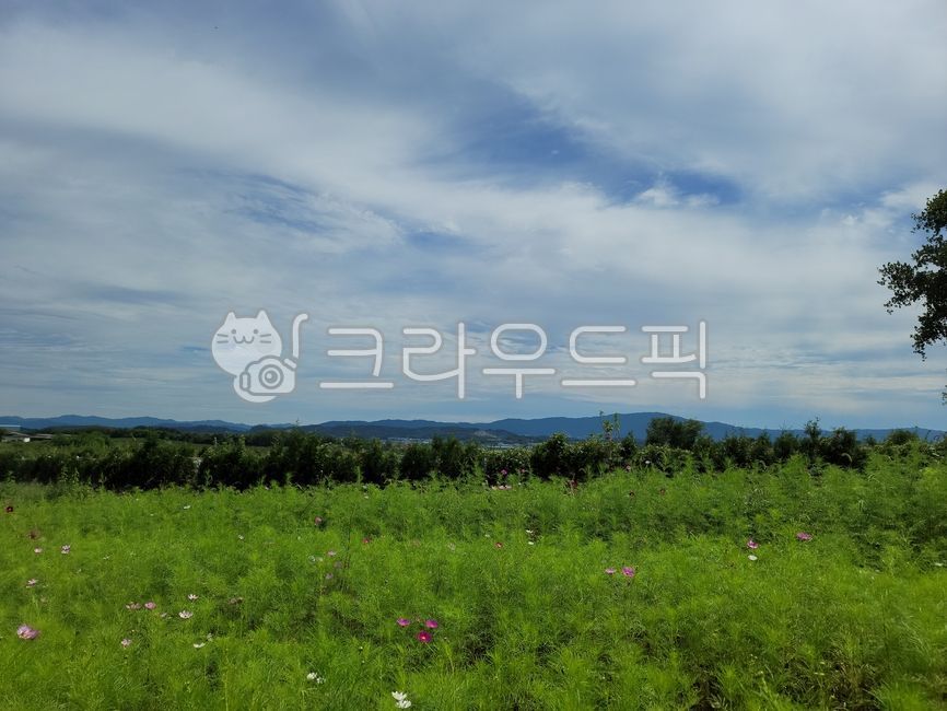 grassland, 목초지, 들판, nature, 자연, 사진,이미지,일러스트,캘리그라피 - Niya1226작가