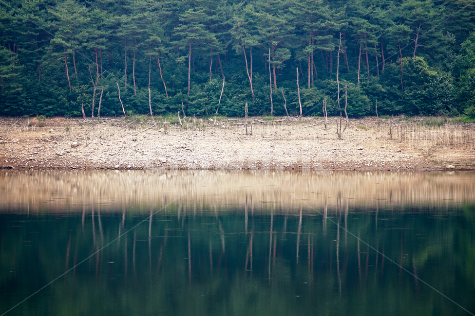 소나무,반영,투영,호수,풍경,자연,자연,풍경,nature,landscape,한국자연풍경,한국자연경관,korea nature landscape,outdoors,옥외,land,땅,water,물