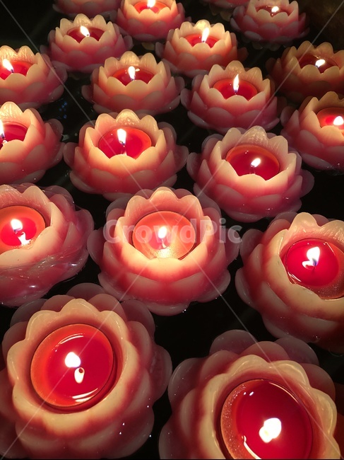 연꽃초,초,불빛,촛불,절,중국절,접사,종교,신앙,religion,belief,faith