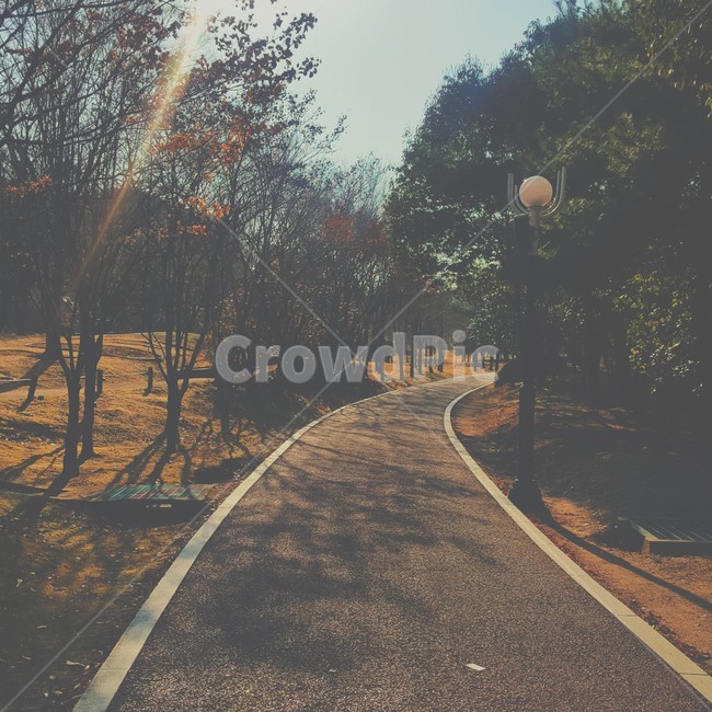 road,도로,공원,햇살,오후,아스팔트,asphalt,나무,tree,plant,park,afternoon,sunshine,울산,대공원,울산대공원,자연,풀,봄날,따뜻,봄,Ulsan,lake,nature,Ulsangrandpark