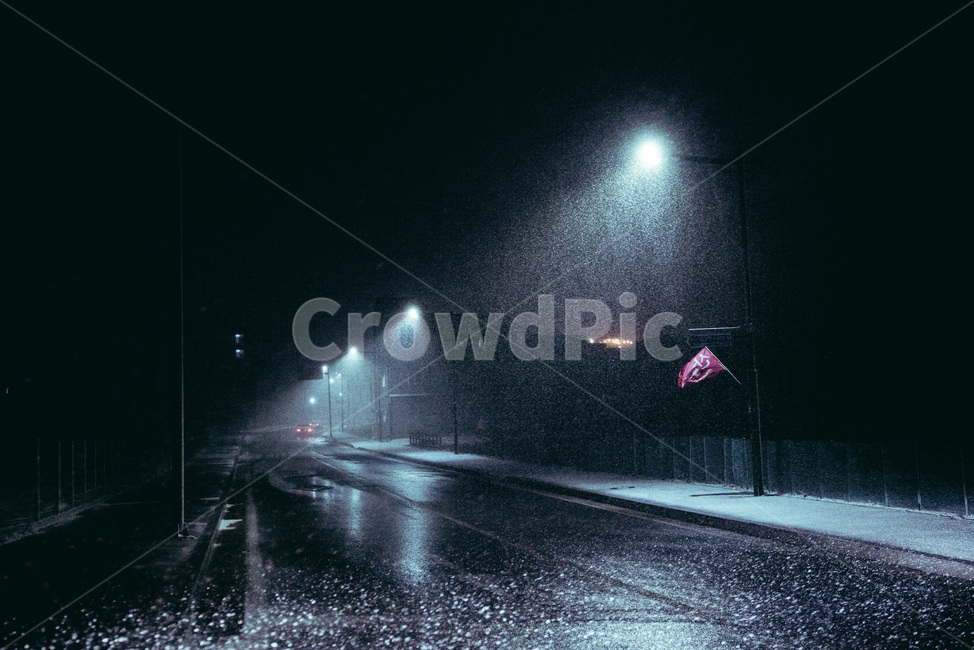 눈,조명,고독,겨울,가로등,길,야경,밤,풍경,nightscape,night,landscape