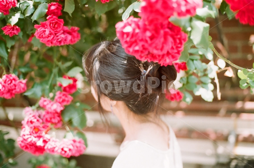 감성,필름,뒷모습,인물,여자,자연스러움,lady,꽃,flower,woman,natural,feeling,female,motion,동작,감성사진,자연,식물,인간,human,빨강,색감,색상,color,힐링,스냅샷,감성스냅,여성,분위기,일상,아날로그,식물,자연,plants,nature,꽃,flower,사람,인물,인간,human,person,여성,여자,woman,female,lady