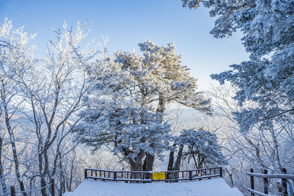 태백산,상고대,겨울,눈꽃,겨울풍경,풍경,산,겨울산,설산,nature,자연,겨울,계절,winter,season,자연,풍경,nature,landscape