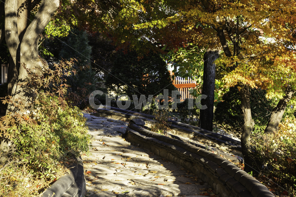 가을,풍경,사찰,절,알록달록,가을,계절,fall,autumn,season,walkway,보도,path,통로,flagstone,판석