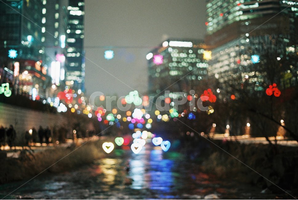 청계천,밤,감성사진,필름카메라,축제,야경,밤,풍경,nightscape,night,landscape,도시,city,감성,sensible,feeling