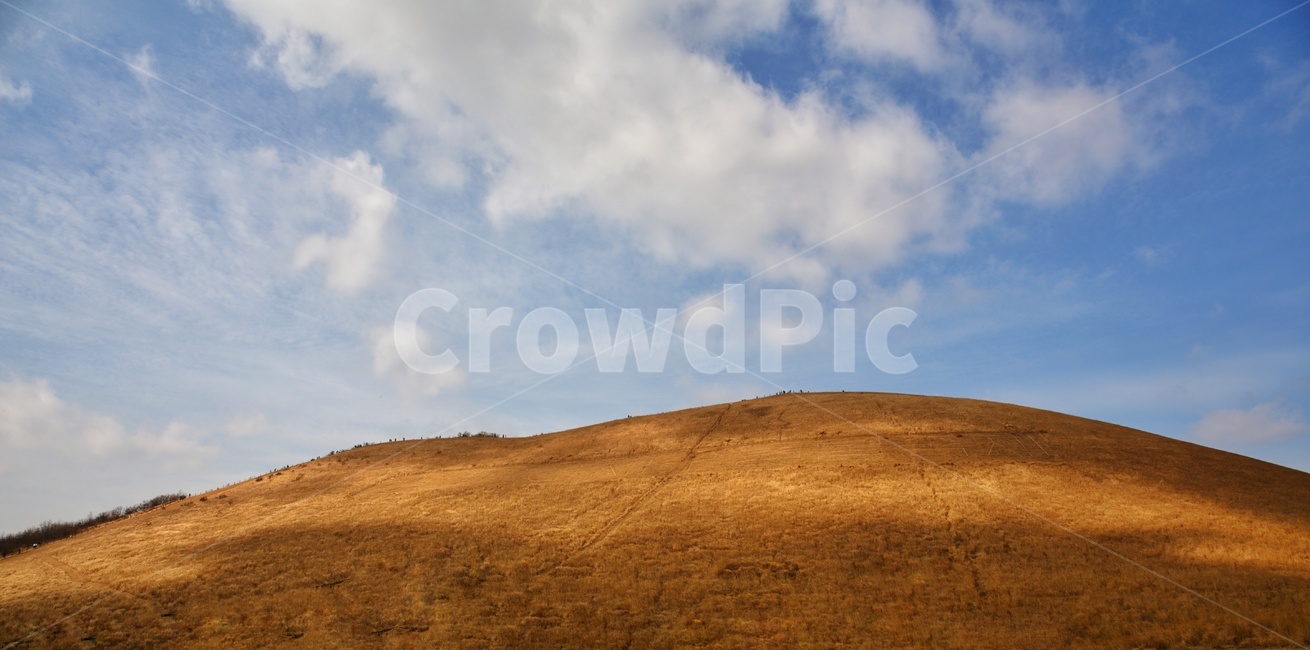field,들,grassland,목초지,outdoors,옥외,mound,새별오름,갈대,억새,억새밭,하늘,들판,sky,구름