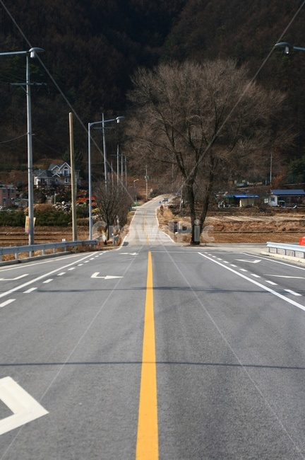 겨울,도로,길,풍경,고향길,나무,가로수,곧은길,그리움,평창,가로등,시골,마을,풍경,landscape,country,rural,town
