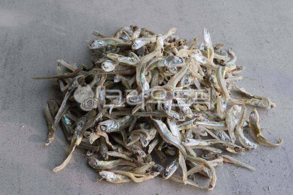 잔멸치,멸치,음식,식재료,마른멸치