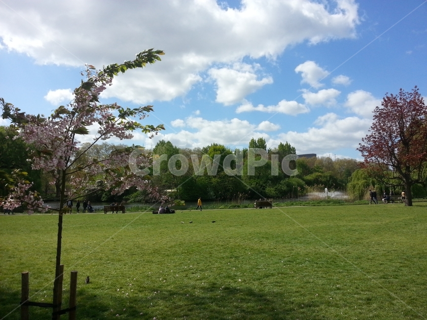 영국,런던,london,england,uk,자연,풍경,nature,landscape,해외,외국,세계,foreign,oversea,world,세계자연풍경,해외자연풍경,외국자연풍경,world nature landscape,grass,잔디,plant,식물,lawn