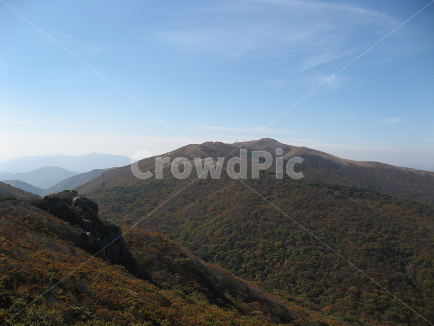 nature,자연,outdoors,옥외,slope,경사,countryside,hill,언덕,산,천성산,가을,하늘,가을하늘,나무,식물,가을,계절,fall,autumn,season,자연,풍경,nature,landscape