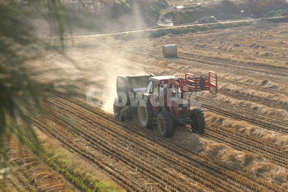 가을,옥외,볏집작업,트렉터볏집작업,nature,자연,농업,농사,agriculture,farming,farming industry