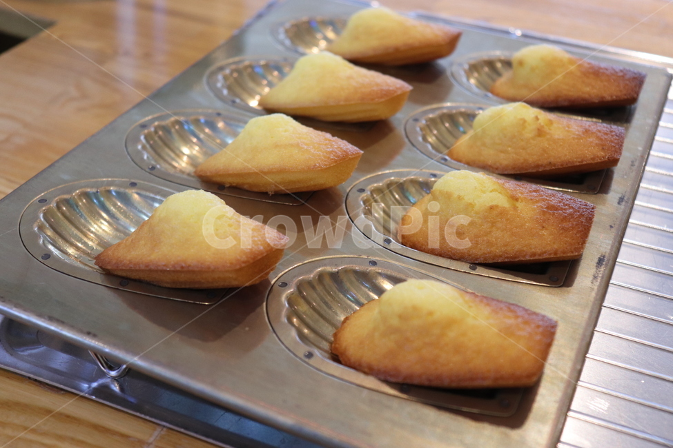 food,음식,bread,마들렌,디저트,카페,베이킹,베이커리,baking,수제,수제베이커리,디저트,간식,후식,dessert,snack