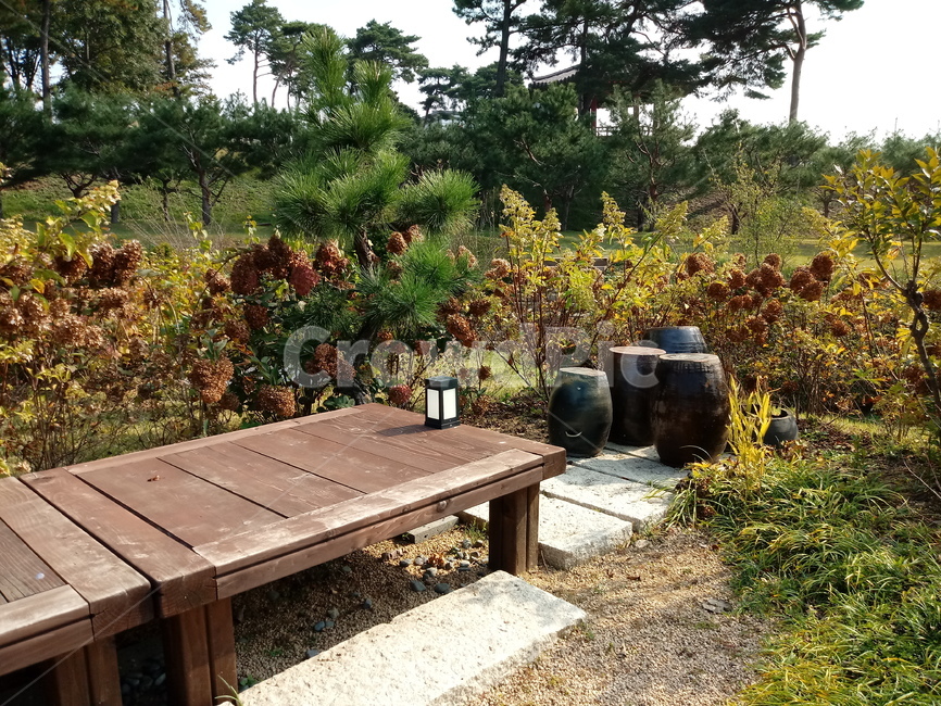 식물,plant,평상,나무,장독대,옹기,토기,자연,수국,wood