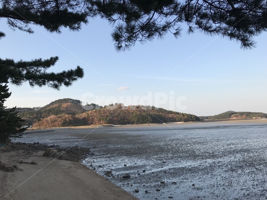 바다,자연,하늘,파란하늘,겨울,갯벌