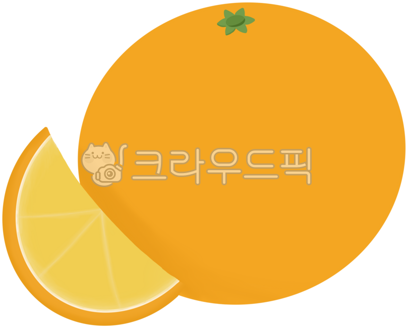 오렌지,귤,과일,fruit,orange,감귤,과일일러스트