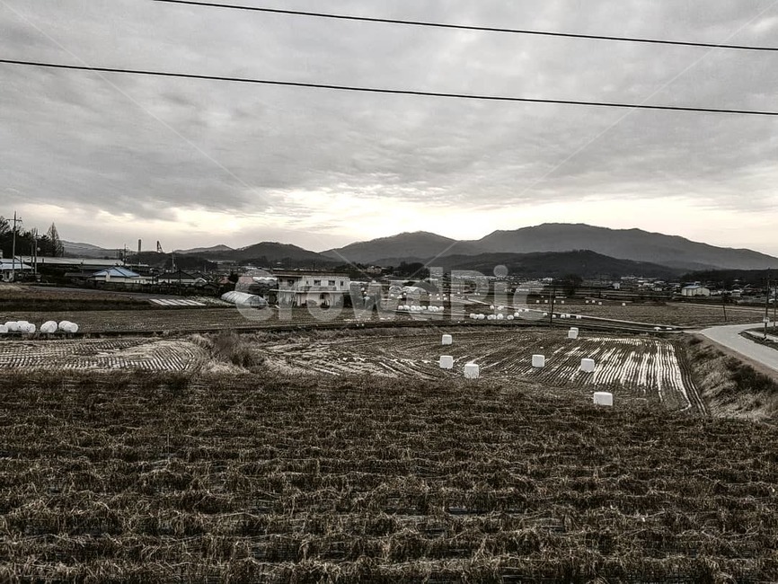 시골,논밭,겨울,해질녘,구름,시골,마을,풍경,landscape,country,rural,town,흑백,모노톤,monochrome,black and white