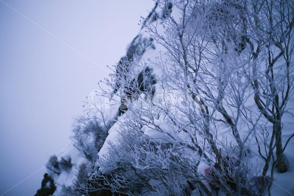 겨울,산,겨울산,눈쌓인산,눈쌓인풍경,겨울,계절,winter,season,식물,자연,plants,nature,감성,sensible,feeling
