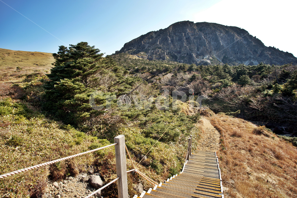 탐방로,등산로,남벽,조릿대,한라산,한라산국립공원,제주도,암벽,돈내코코스,제주도,jeju,jeju island,building,건물,bridge,다리