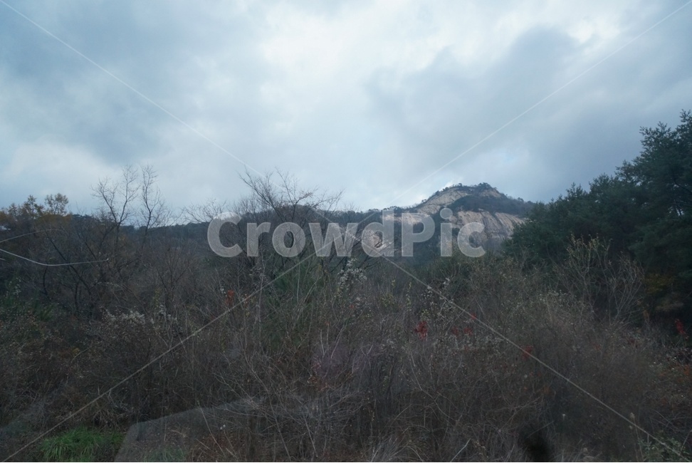nature,자연,outdoors,옥외,wilderness,자연,풍경,nature,landscape