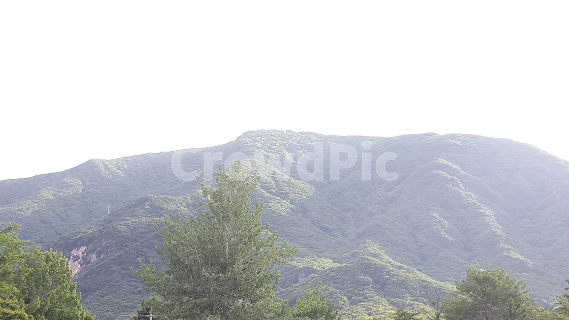 산,구름,하늘,풍경,나무,숲