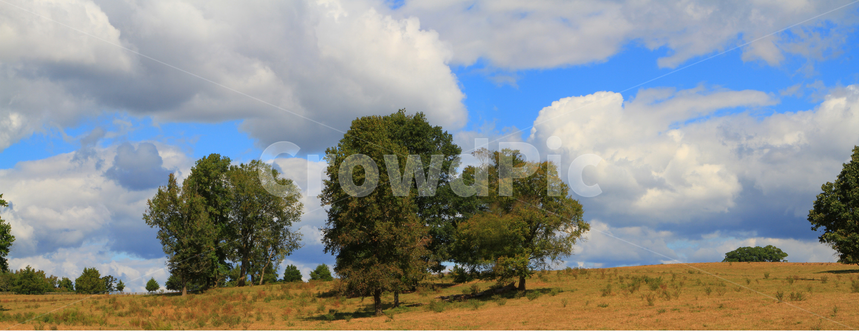 초원,목초지,파란하늘,목장,들판,자연,풍경,nature,landscape,weather,날씨,outdoors,옥외,savanna,대초원,field,들,grassland,cloud,구름,cumulus,적운,sky,하늘