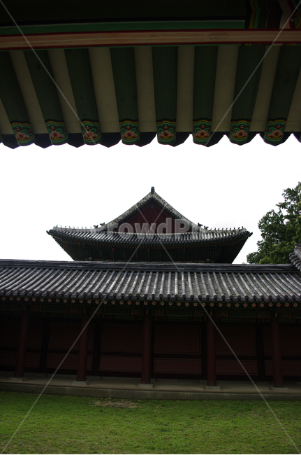 창덕궁,고궁,한옥,전통가옥,기와지붕,건축,traditional,한국전통,한국문화,korean traditional,korean culture,랜드마크,landmark,tourist attraction,한국랜드마크,한국관광지,한국명소,korea landmark,korea tourist attraction,건축물,건물외관,exterior,building,structure,architecture,construction