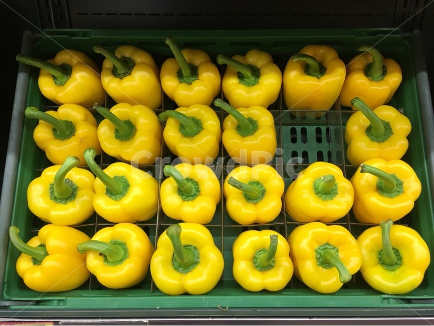노란,파프리카,피망,야채,판매,음식,식재료,요리,food,cook,meal,dishes,food reserves,채소,야채,vegetables