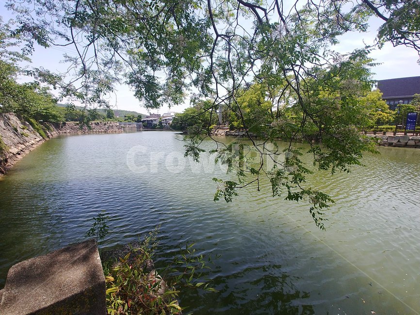 호숫가,호수,정원,공원,식물,그늘,연못,lake,water,garden,gardenpark,park,plant,shade,tree