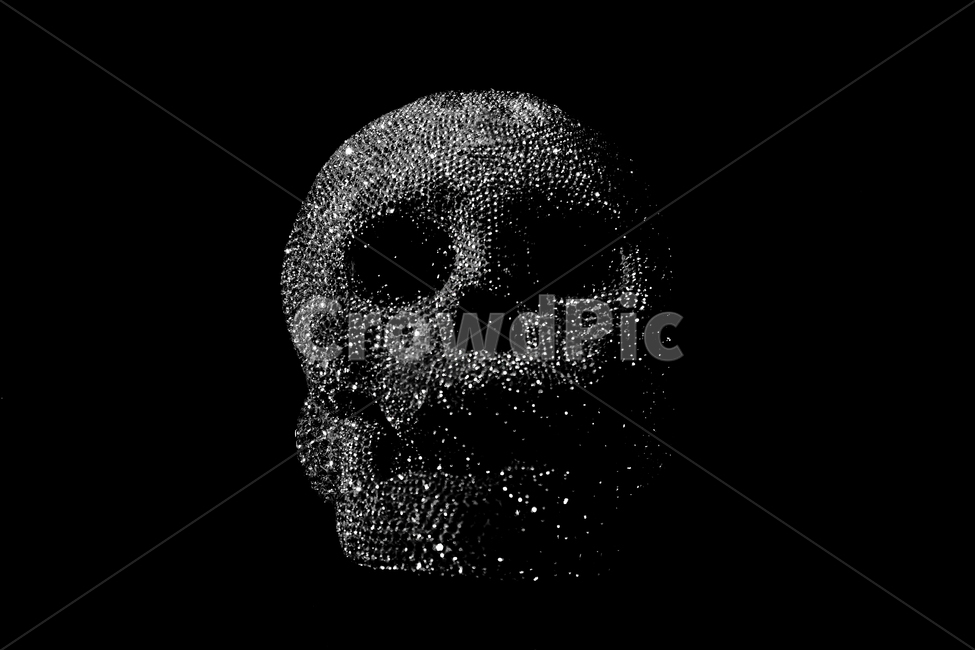 해골,보석,head,skull,메멘토모리,죽음,반짝반짝,흑백,머리,모노톤,monochrome,모노크롬,monotone,minimal,simple,minimalisme,minimalimage,연출,컨셉,콘셉,느낌,feeling,쥬얼리,다이아몬드,진열,상품,상징,스캘톤,skeleton,백골,공포,호러,무서운,무서움,horror,terror,fear