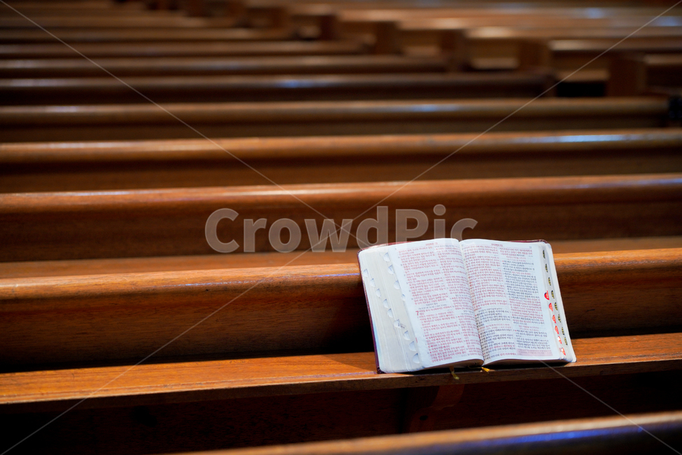 성경,부활절,책,마태복음,교회,종교,의자,찬양,기도,말씀,묵상,독서,신학,신앙심,기독교,예배,비어있는,실내,종교,신앙,religion,belief,faith