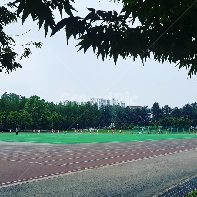 sports,힐링,운동장,융합,나무그늘