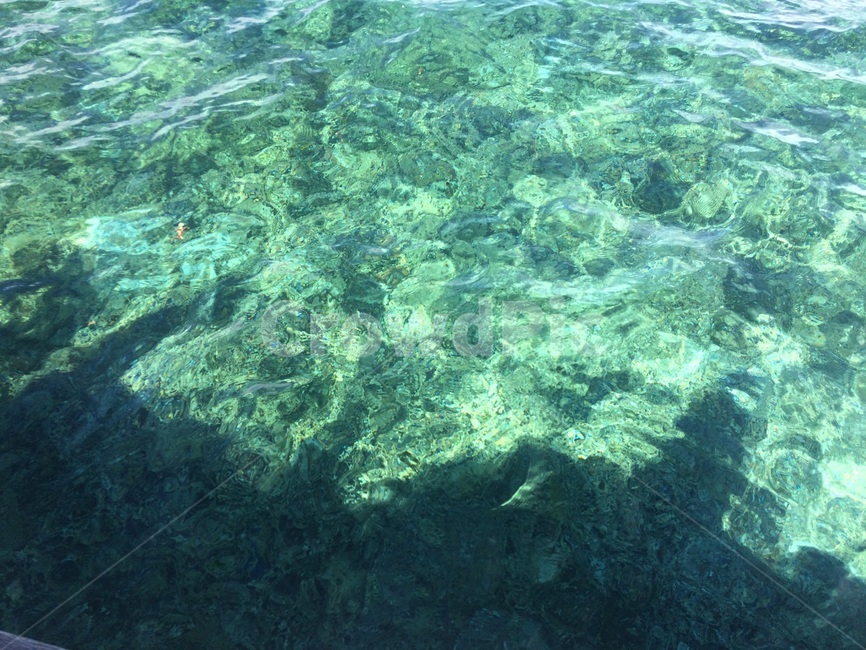 바다,세부,여름,sea,sebu