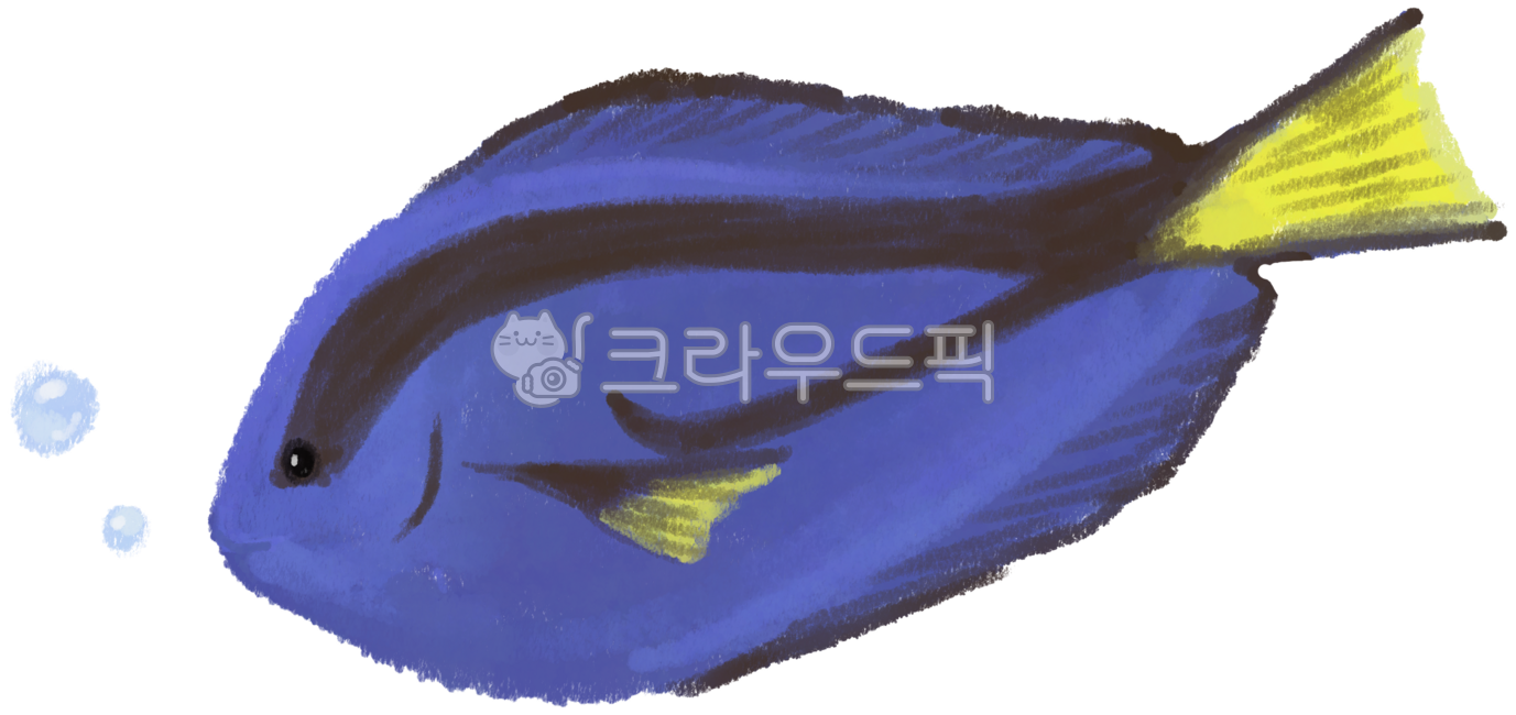 물고기,fish,해양생물,서전피시,surgeonfish,sealife,animal,동물,도리,바다,바닷속,sea,ocean,양서류,amphiprion,크레파스,파스텔,색연필