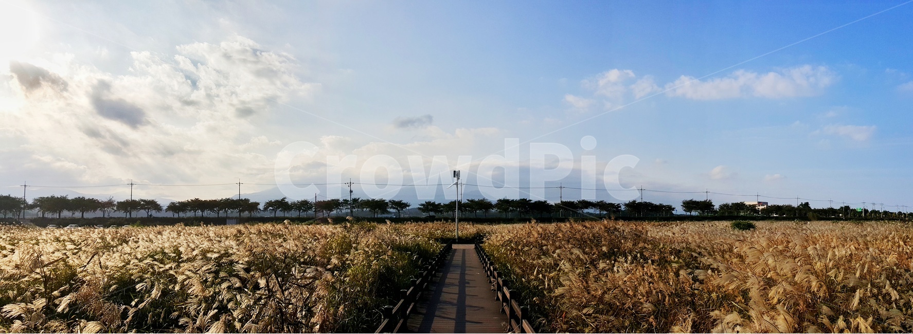 갈대밭,갈대,하늘,풍경사진,가을,가을풍경,가을,계절,fall,autumn,season,자연,풍경,nature,landscape