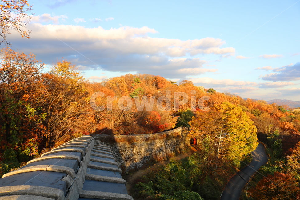 남한산성,산성,성벽,자연,풍경,가을,단풍,나무,공원,가을,계절,fall,autumn,season,tree,plant,식물